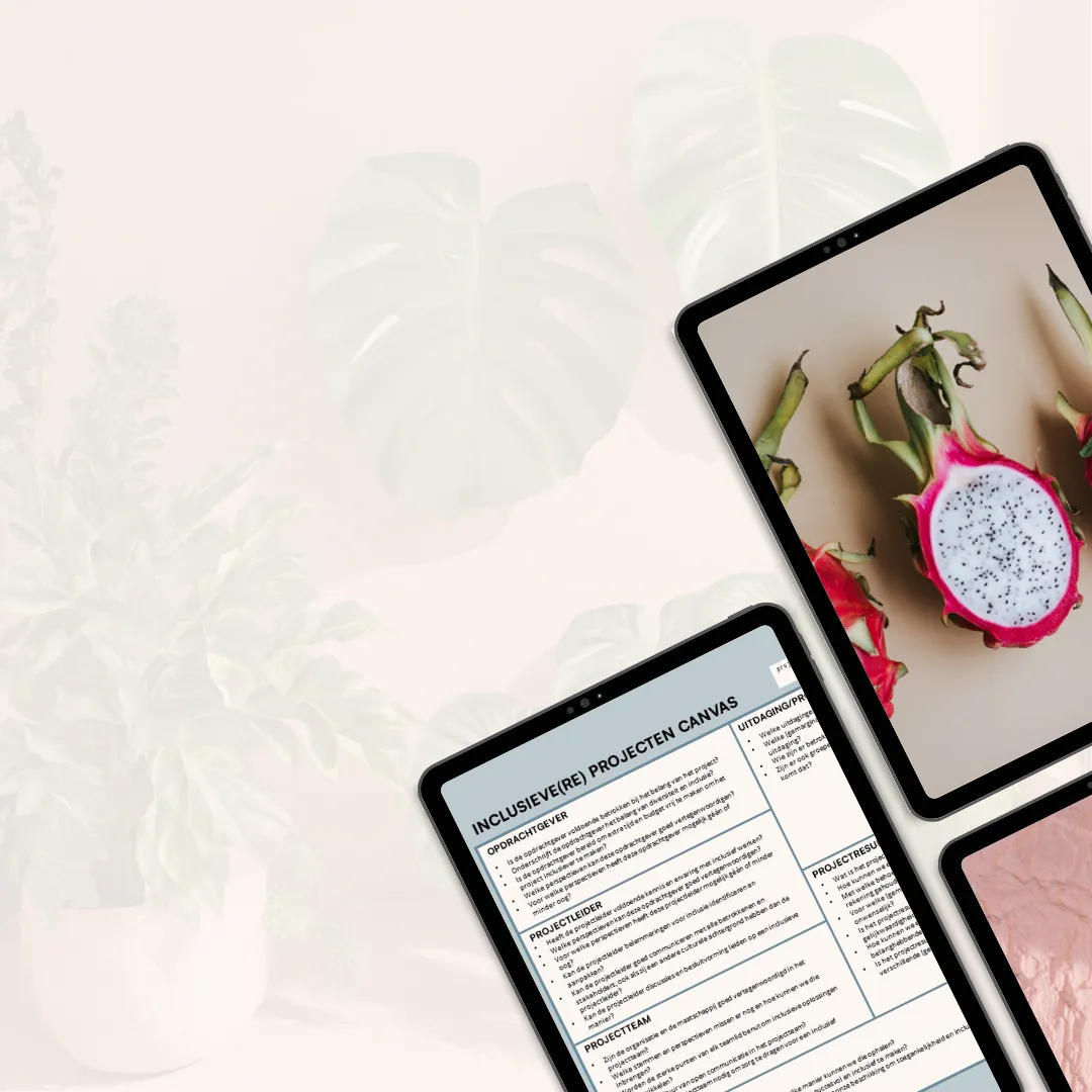 Het inclusieve(re) projecten canvas